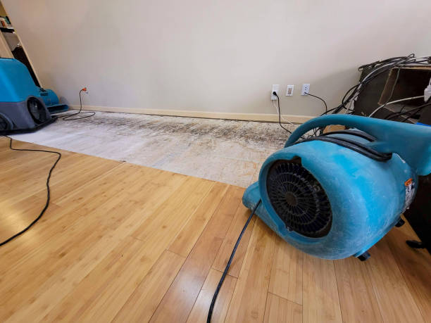 Professional Structural Drying technician working in Olalla, WA